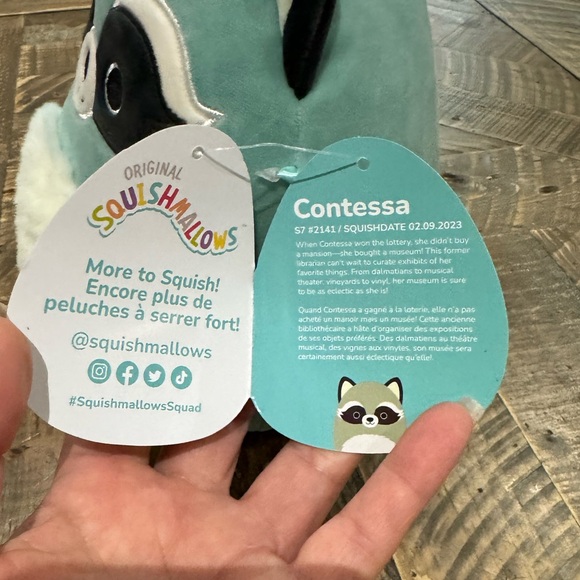 Squishmallow FTM Contessa Raccoon 7” - Picture 7 of 8